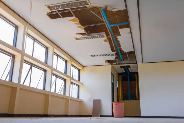 Best Emergency water damage restoration  in Teutopolis, IL