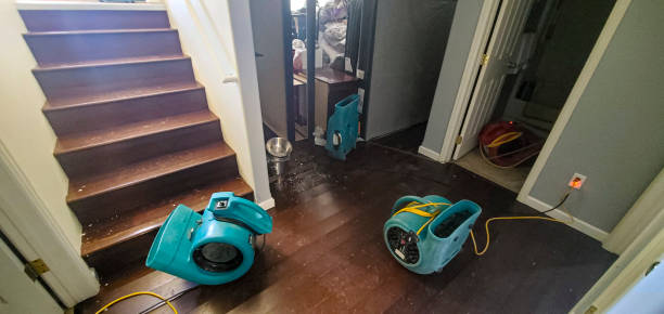 Best Ceiling water damage repair  in Teutopolis, IL