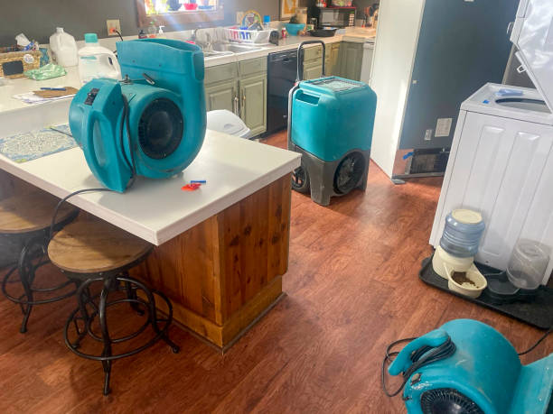 Best 24/7 water damage repair  in Teutopolis, IL