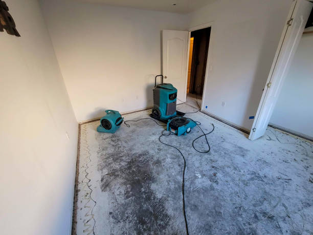 Best Basement water damage restoration  in Teutopolis, IL