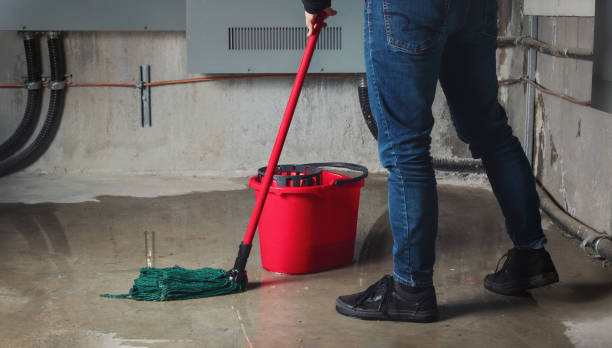 Best Commercial water damage restoration  in Teutopolis, IL