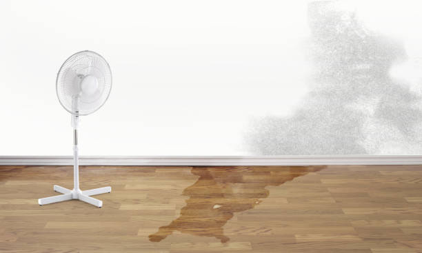 Best Water damage restoration near me  in Teutopolis, IL