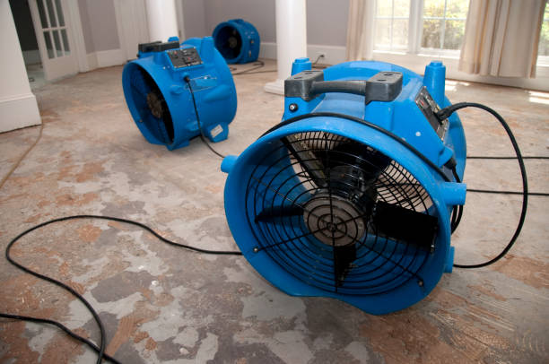 Best Carpet water damage restoration  in Teutopolis, IL
