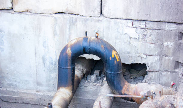 Best Mold removal after water damage  in Teutopolis, IL