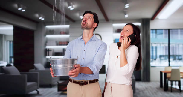 Best Fire Damage Restoration  in Teutopolis, IL