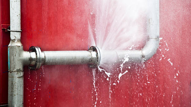 Best Water damage cleanup near me  in Teutopolis, IL
