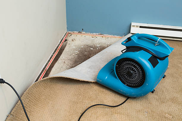 Best 24-hour water damage restoration  in Teutopolis, IL
